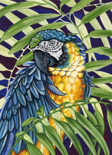 Bird 9